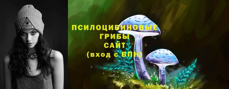 купить наркотики сайты  Болгар  Псилоцибиновые грибы Psilocybine cubensis 